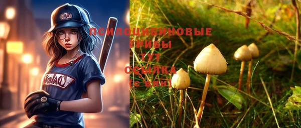 хмурый Беломорск