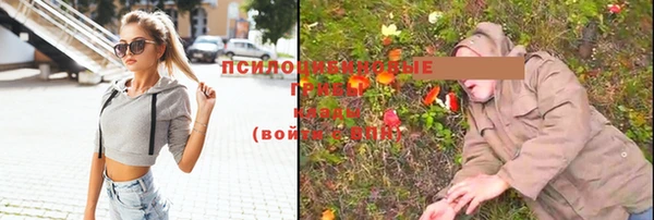 ALPHA-PVP Белокуриха
