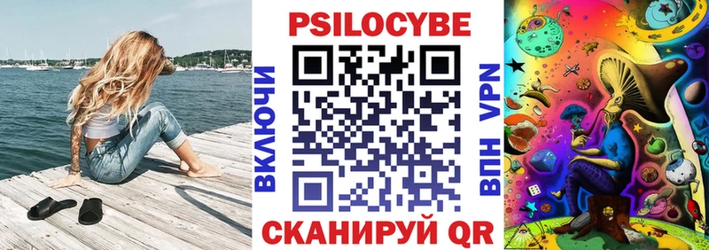 дарнет шоп  Дагестанские Огни  Псилоцибиновые грибы Psilocybe 